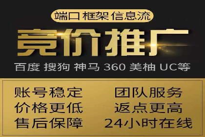 SEM代运营服务公司成功案例解析